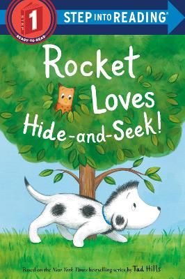 Picture of Rocket Loves Hide-and-Seek!