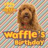 Picture of Waffles Birthday
