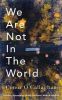 Picture of We Are Not in the World