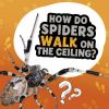 Picture of How Do Spiders Walk on the Ceiling?