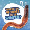 Picture of Where Do Worms Go in Winter?