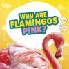 Picture of Why Are Flamingos Pink?