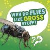 Picture of Why Do Flies Like Gross Stuff?