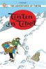 Picture of Tintin in Tibet