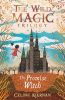 Picture of The Promise Witch (The Wild Magic Trilogy, Book Three)