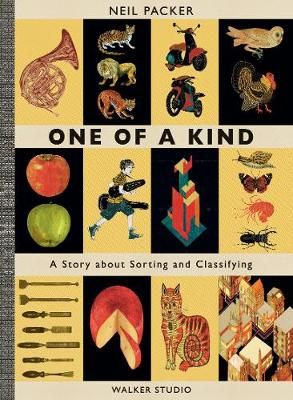 Picture of One of a Kind: A Story About Sorting and Classifying