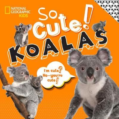 Picture of So Cute! Koalas