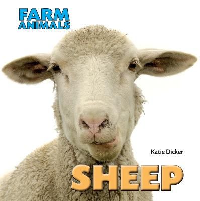 Picture of Farm Animals: Sheep