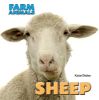 Picture of Farm Animals: Sheep