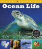 Picture of Visual Explorers: Ocean Life