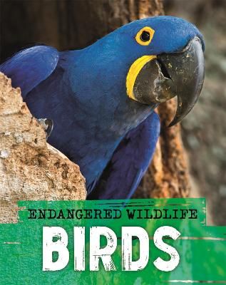 Picture of Endangered Wildlife: Rescuing Birds