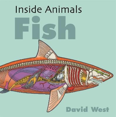 Picture of Inside Animals: Fish