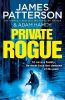 Picture of Private Rogue: (Private 16)