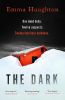 Picture of The Dark: The electrifying debut thriller of 2021