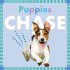 Picture of Puppies Chase