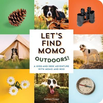 Picture of Lets Find Momo Outdoors!: A Hide and Seek Adventure with Momo and Boo