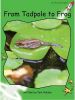 Picture of From Tadpole to Frog