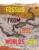 Picture of Fossils from Lost Worlds