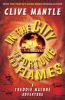 Picture of In the City of Fortune and Flames