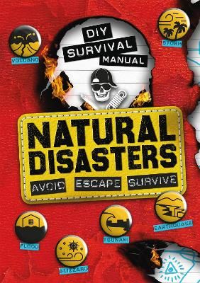 Picture of DIY Survival Manual: Natural Disasters