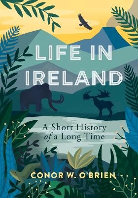 Picture of Life in Ireland: A Short History of a Long Time