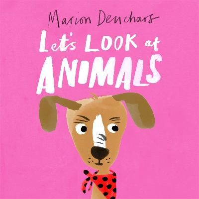 Picture of Lets Look at... Animals: Board Book
