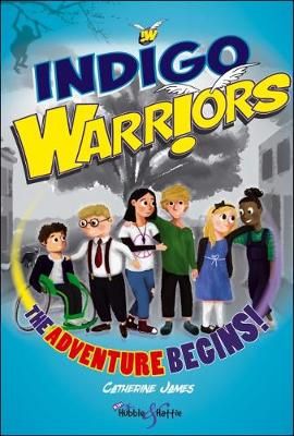 Picture of Indigo Warriors: The Adventure Begins!