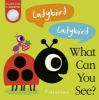 Picture of Ladybird! Ladybird! What Can You See?