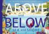Picture of Above and Below: Sea and Shore: Lift the flaps to see natures wonders unfold