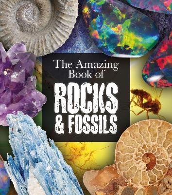 Picture of The Amazing Book of Rocks and Fossils