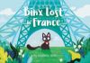 Picture of Binx Lost in France