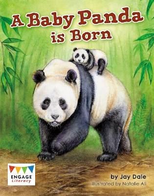 Picture of A Baby Panda is Born