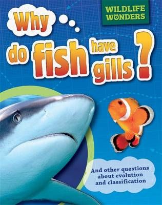 Picture of Why Do Fish Have Gills?