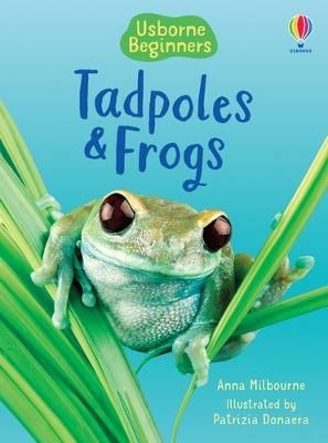 Picture of Tadpoles and Frogs