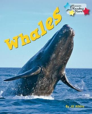 Picture of Whales
