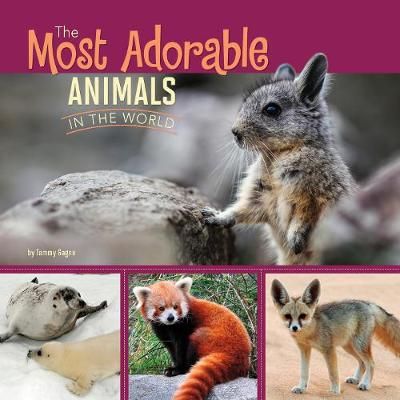 Picture of The Most Adorable Animals in the World