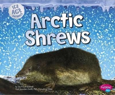 Picture of Arctic Shrews