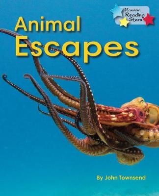 Picture of Animal Escapes