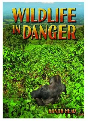 Picture of Wildlife in Danger