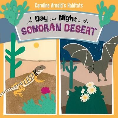 Picture of A Day and Night in the Sonoran Desert