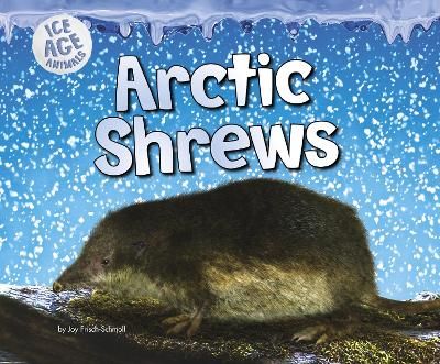 Picture of Arctic Shrews