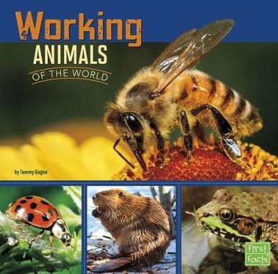 Picture of Working Animals of the World