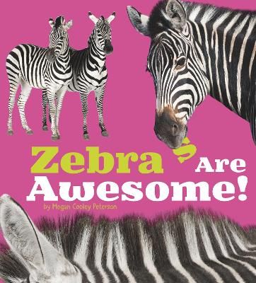 Picture of Zebras Are Awesome!