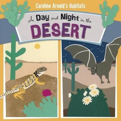 Picture of A Day and Night in the Sonoran Desert
