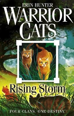Picture of Rising Storm (Warrior Cats, Book 4)
