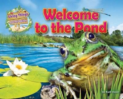 Picture of Welcome to the Pond