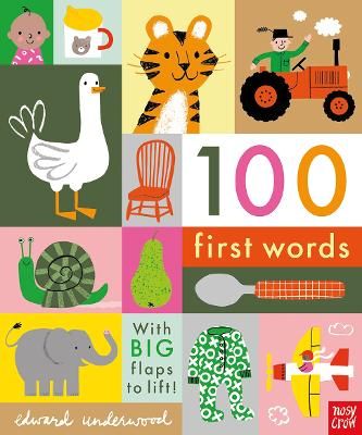 Picture of 100 First Words