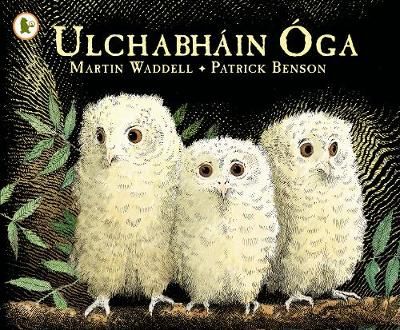 Picture of Ulchabhain Oga (Owl Babies)