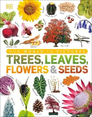 Picture of Our World in Pictures: Trees, Leaves, Flowers & Seeds