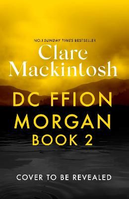 Picture of DC Ffion Morgan Book 2: The thrilling sequel to The Last Party